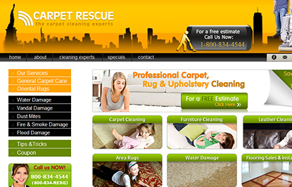 webdesign and development for Carpet Rescue New York